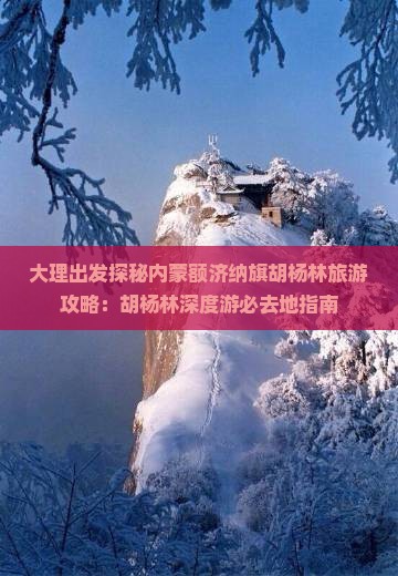 大理出发探秘内蒙额济纳旗胡杨林旅游攻略：胡杨林深度游必去地指南