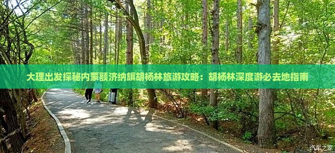 大理出发探秘内蒙额济纳旗胡杨林旅游攻略：胡杨林深度游必去地指南
