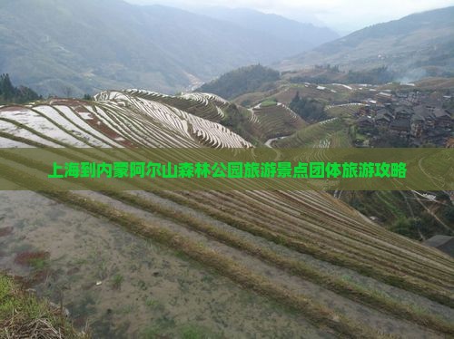上海到内蒙阿尔山森林公园旅游景点团体旅游攻略