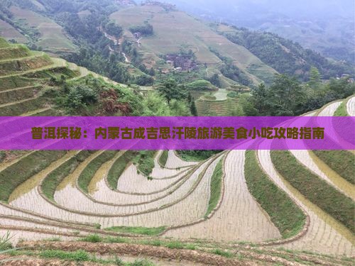 普洱探秘：内蒙古成吉思汗陵旅游美食小吃攻略指南