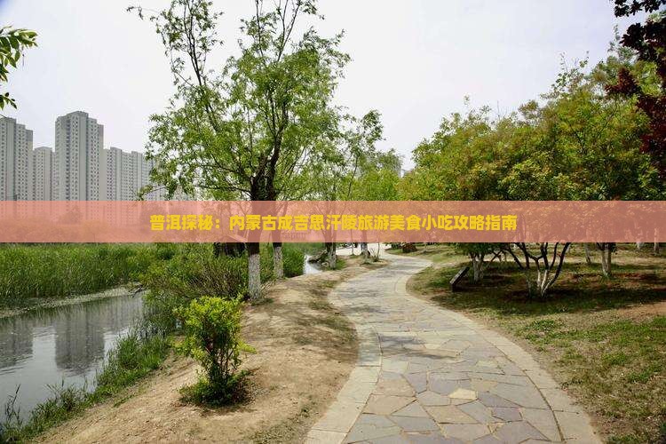 普洱探秘：内蒙古成吉思汗陵旅游美食小吃攻略指南