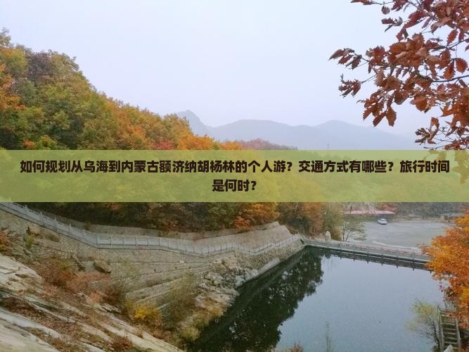 如何规划从乌海到内蒙古额济纳胡杨林的个人游？交通方式有哪些？旅行时间是何时？