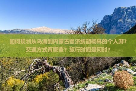 如何规划从乌海到内蒙古额济纳胡杨林的个人游？交通方式有哪些？旅行时间是何时？
