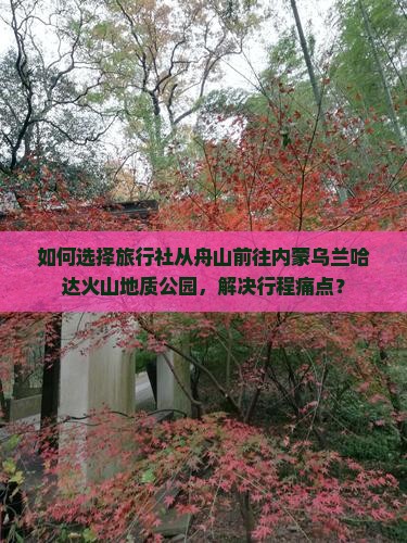 如何选择旅行社从舟山前往内蒙乌兰哈达火山地质公园，解决行程痛点？