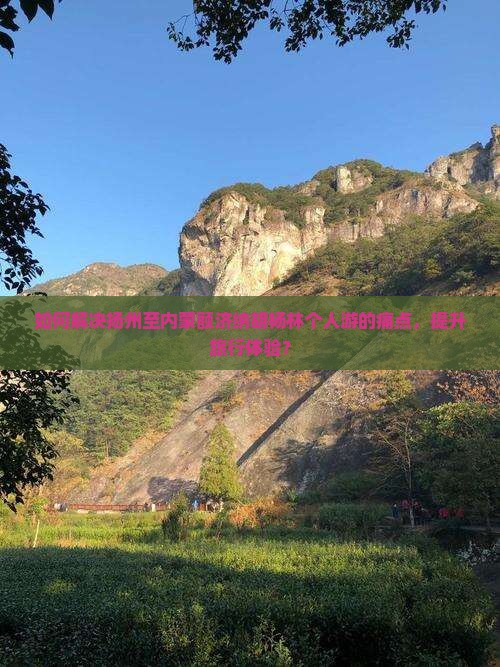 如何解决扬州至内蒙额济纳胡杨林个人游的痛点，提升旅行体验？
