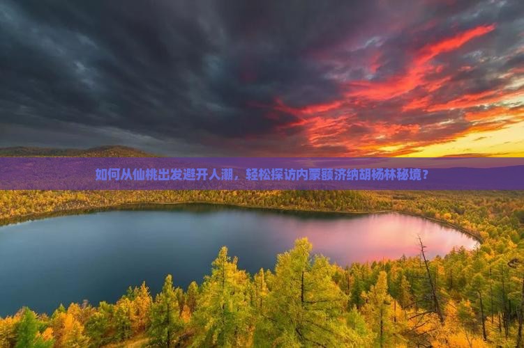 如何从仙桃出发避开人潮，轻松探访内蒙额济纳胡杨林秘境？