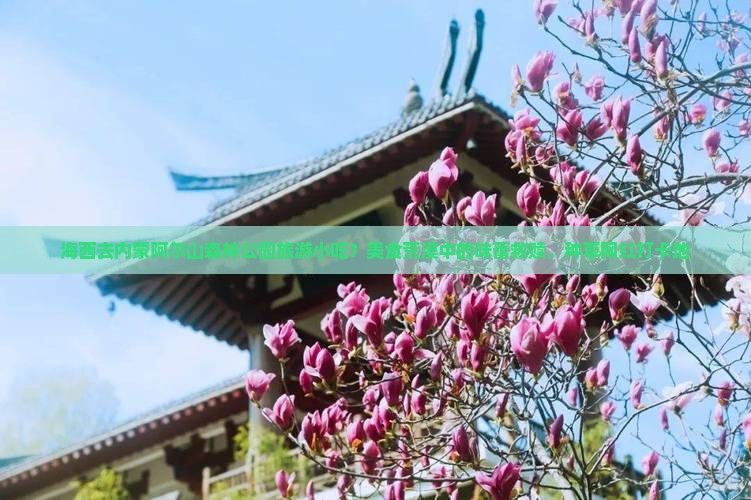 海西去内蒙阿尔山森林公园旅游小吃？美食荒漠中的味蕾救赎，种草网红打卡地