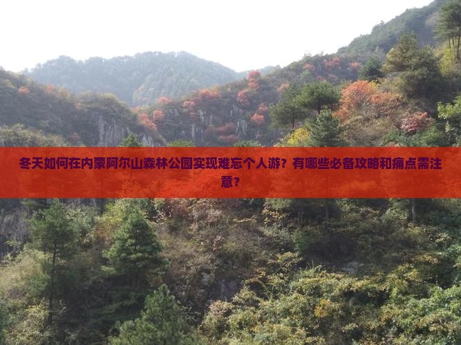 冬天如何在内蒙阿尔山森林公园实现难忘个人游？有哪些必备攻略和痛点需注意？