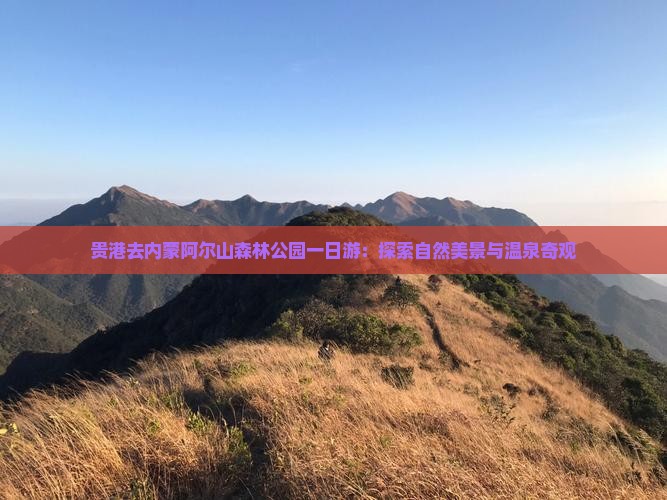 贵港去内蒙阿尔山森林公园一日游：探索自然美景与温泉奇观