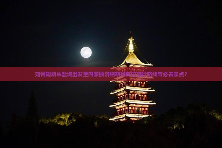 如何规划从盐城出发至内蒙额济纳胡杨林的旅行路线与必去景点？