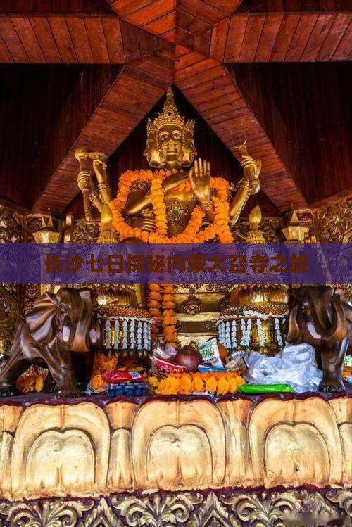 长沙七日探秘内蒙大召寺之旅