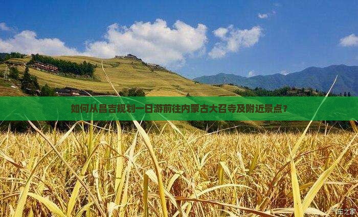 如何从昌吉规划一日游前往内蒙古大召寺及附近景点？