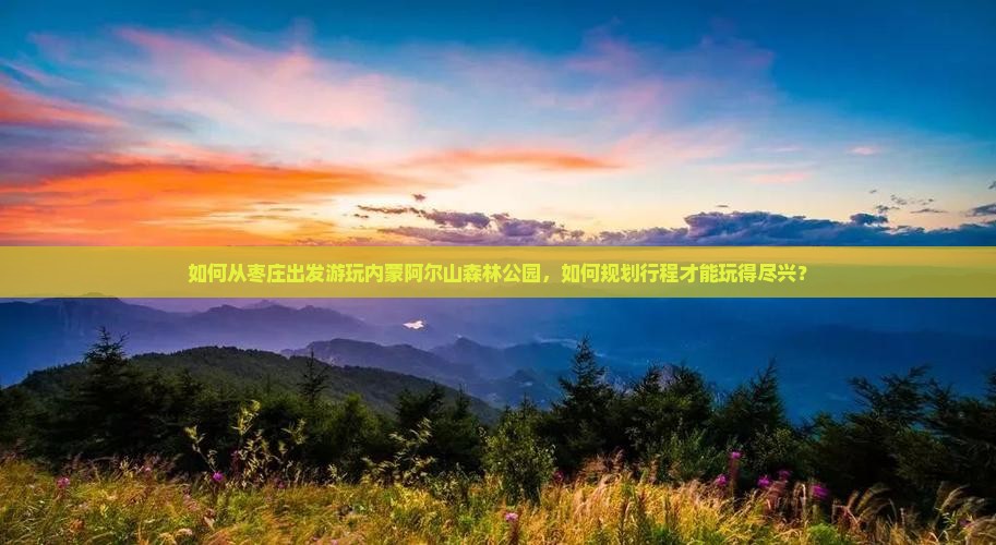 如何从枣庄出发游玩内蒙阿尔山森林公园，如何规划行程才能玩得尽兴？