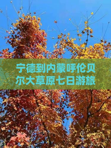 宁德到内蒙呼伦贝尔大草原七日游旅游攻略