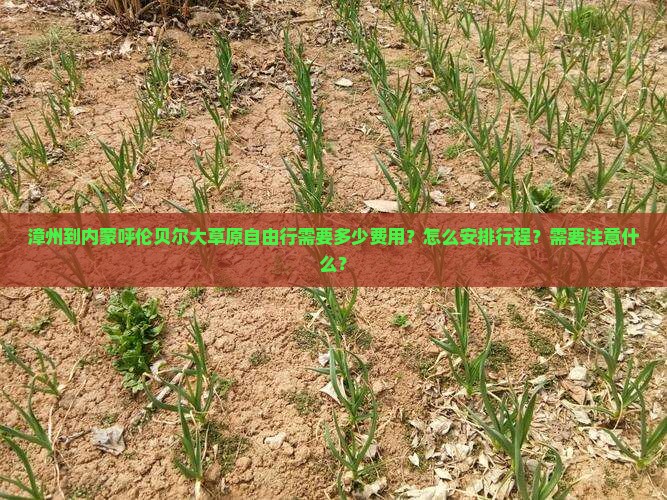 漳州到内蒙呼伦贝尔大草原自由行需要多少费用？怎么安排行程？需要注意什么？