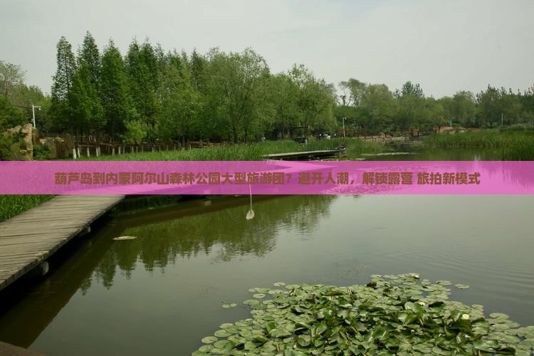 葫芦岛到内蒙阿尔山森林公园大型旅游团？避开人潮，解锁露营+旅拍新模式