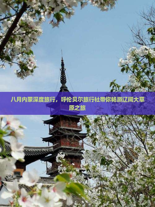 八月内蒙深度旅行，呼伦贝尔旅行社带你畅游辽阔大草原之旅