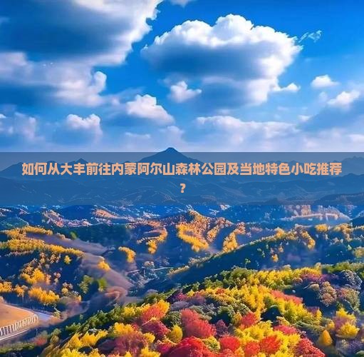 如何从大丰前往内蒙阿尔山森林公园及当地特色小吃推荐？