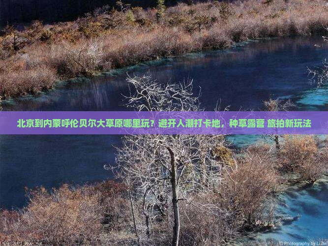 北京到内蒙呼伦贝尔大草原哪里玩？避开人潮打卡地，种草露营+旅拍新玩法