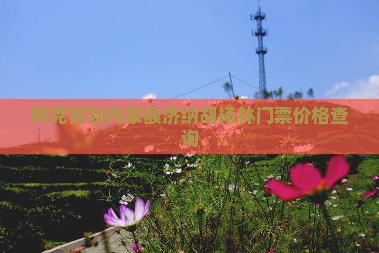 阿克苏到内蒙额济纳胡杨林门票价格查询