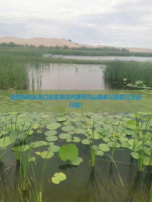 如何规划从海口出发前往内蒙阿尔山森林公园的三日游行程？