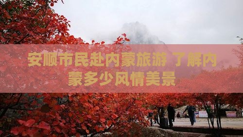 安顺市民赴内蒙旅游 了解内蒙多少风情美景