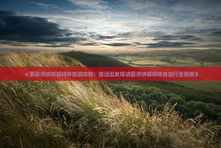 ≮蒙额济纳旗胡杨林旅游攻略：宿迁出发探访额济纳胡杨林自由行全指南》