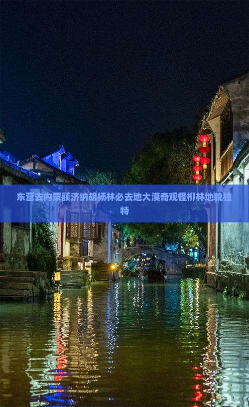 东营去内蒙额济纳胡杨林必去地大漠奇观怪柳林地貌独特