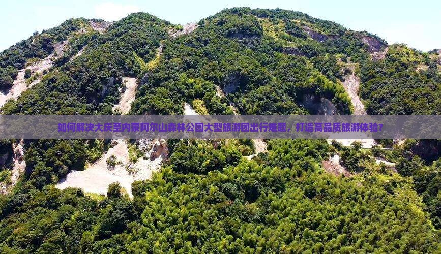 如何解决大庆至内蒙阿尔山森林公园大型旅游团出行难题，打造高品质旅游体验？