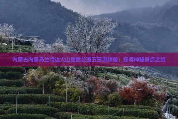 内蒙古内蒙乌兰哈达火山地质公园五日游攻略：探寻神秘景点之旅