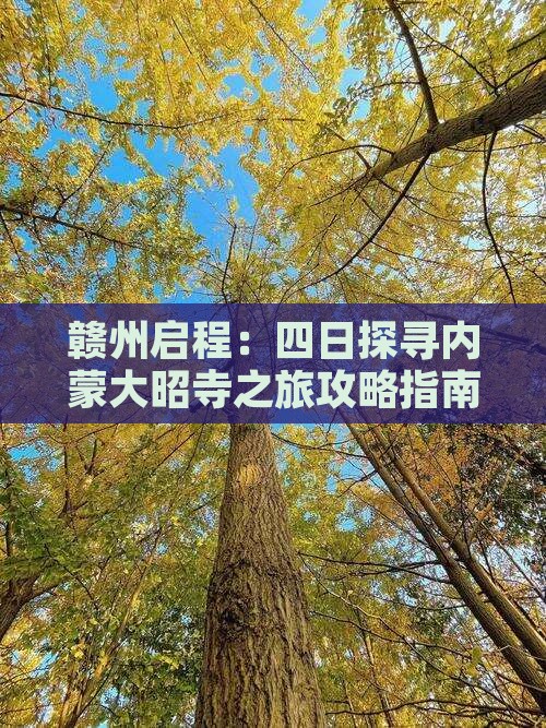 赣州启程：四日探寻内蒙大昭寺之旅攻略指南