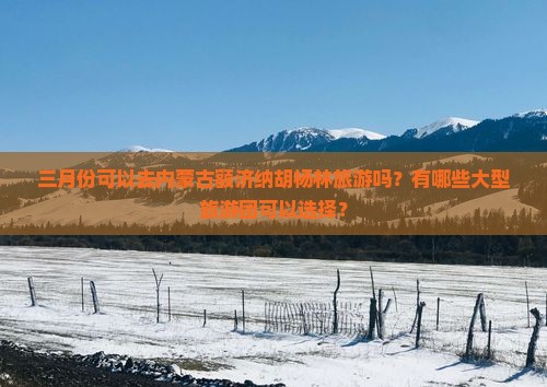 三月份可以去内蒙古额济纳胡杨林旅游吗？有哪些大型旅游团可以选择？