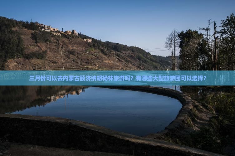 三月份可以去内蒙古额济纳胡杨林旅游吗？有哪些大型旅游团可以选择？
