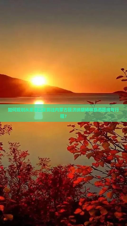 如何规划从巢湖出发前往内蒙古额济纳胡杨林旅游路线与行程？