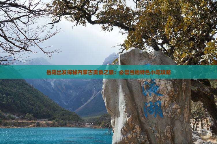 岳阳出发探秘内蒙古美食之旅：必尝当地特色小吃攻略