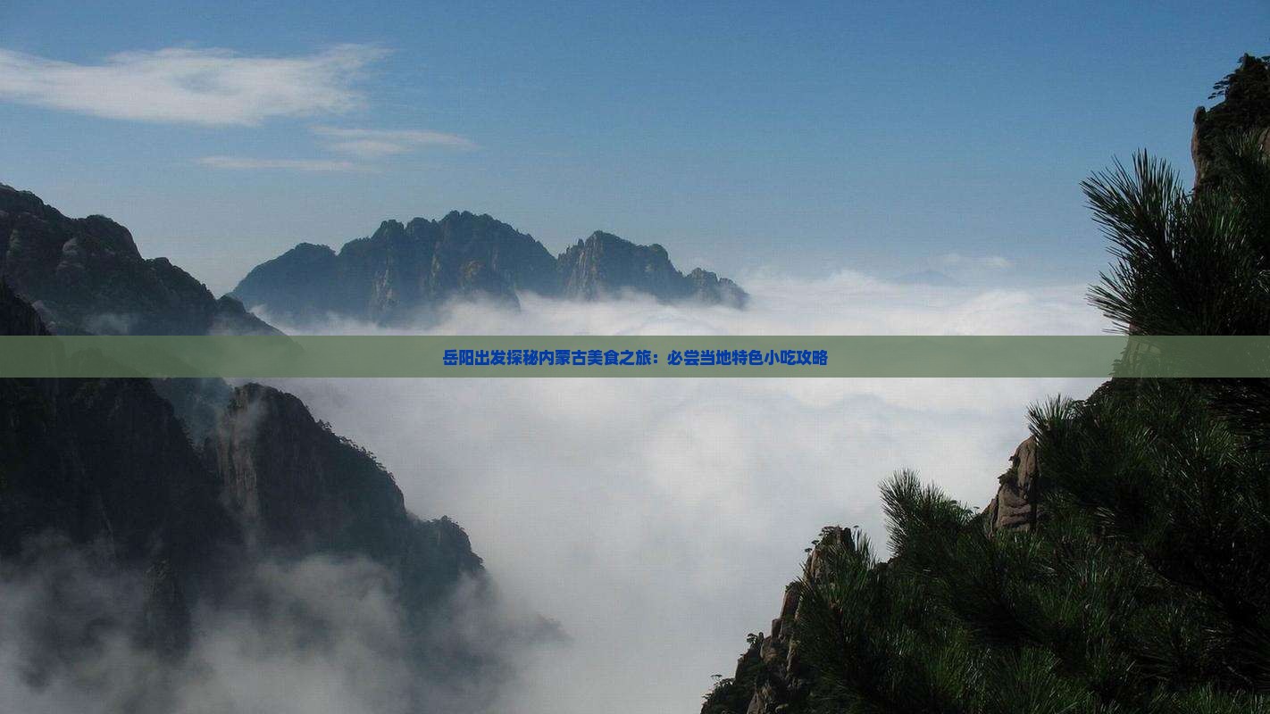 岳阳出发探秘内蒙古美食之旅：必尝当地特色小吃攻略