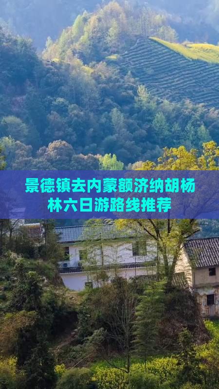 景德镇去内蒙额济纳胡杨林六日游路线推荐