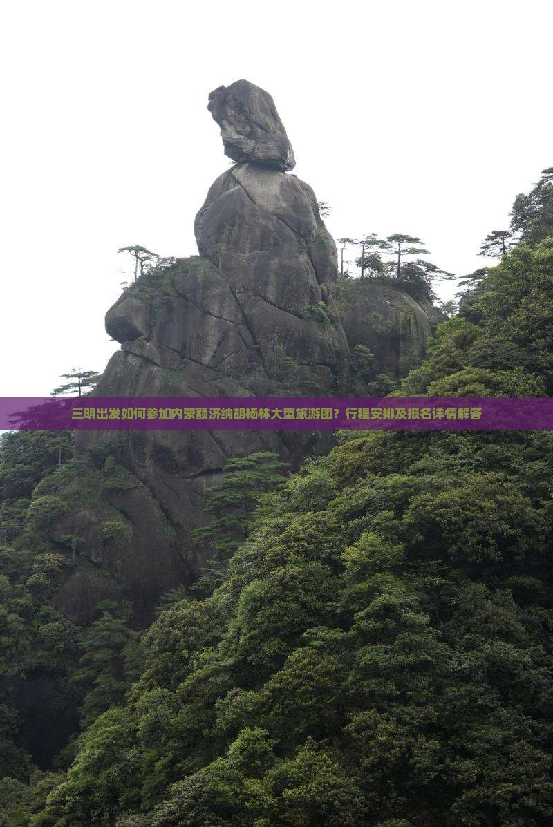 三明出发如何参加内蒙额济纳胡杨林大型旅游团？行程安排及报名详情解答