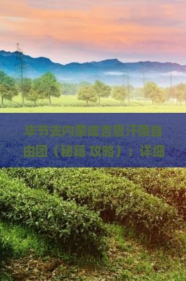 毕节去内蒙成吉思汗陵自由团