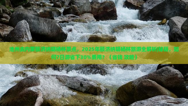 池州去内蒙额济纳胡杨林景点