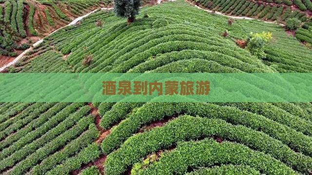 酒泉到内蒙旅游