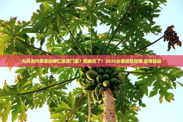 九月去内蒙希拉穆仁草原门票