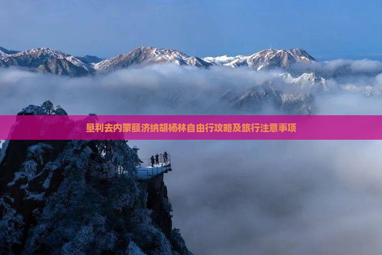 垦利去内蒙额济纳胡杨林自由行