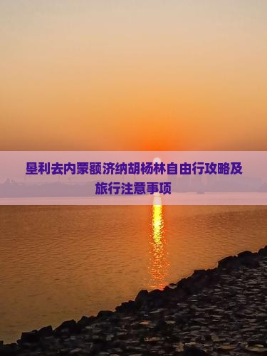 垦利去内蒙额济纳胡杨林自由行