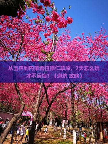 玉林到内蒙希拉穆仁草原七日游