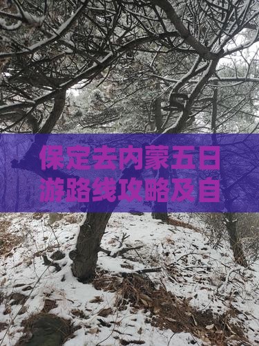 保定去内蒙五日游 保定去内蒙五日游