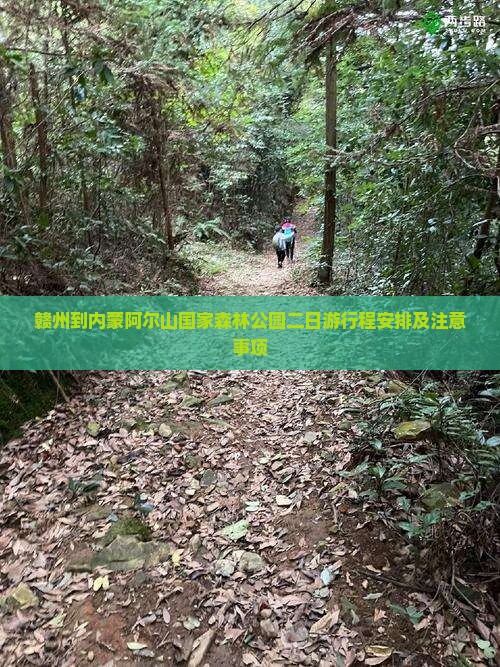 赣州到内蒙阿尔山国家森林公园二日游