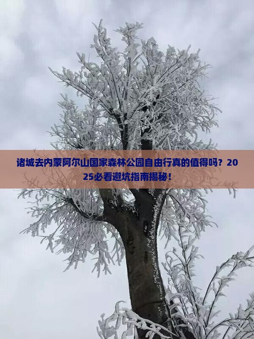 诸城去内蒙阿尔山国家森林公园自由行