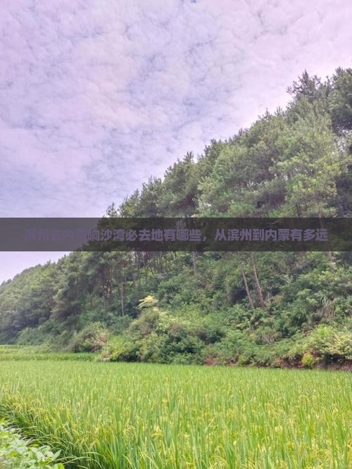 滨州去内蒙响沙湾必去地