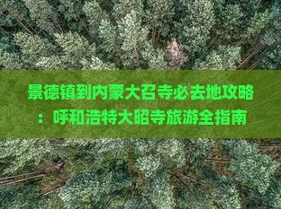 景德镇到内蒙大召寺必去地
